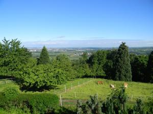 Naturlandschaft in der Nähe des Hotels