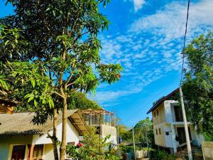 a tree in front of a house at Kavee Waves Hiriketiya in Dickwella