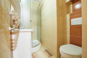 a small bathroom with a toilet and a sink at Noclegi u Hanki in Bukowina Tatrzańska +20 photos