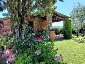 Zahrada ubytování Farmhouse in Tuscany with Olive Grove Views