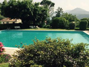 einen Pool in einem Garten mit Bäumen und einem Haus in der Unterkunft Appartamento Dellea in Luino