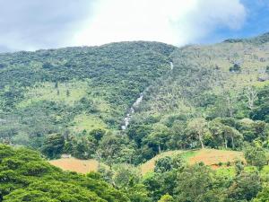 a view of a mountain with a road on it at SINHARAJA GUEST INN Rakwana in Rakwana