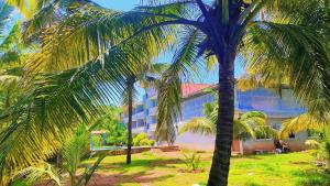 マンドレムにあるBoutique Wellness & Yoga Hotel Goaの建物前のヤシの木群