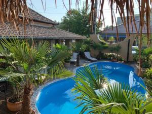 a resort with two pools and palm trees at Hacienda Apartman in Békéscsaba