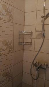 a shower with a shower head in a bathroom at Holiday Home Medus in Babīte