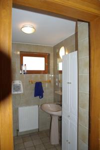 uma casa de banho com um lavatório e um WC em le gutty - maison de vacances em Natzwiller