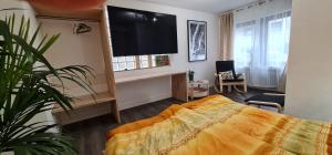 Μια τηλεόραση ή/και κέντρο ψυχαγωγίας στο 3,5 room Suite, kitchen, terrace in upper town