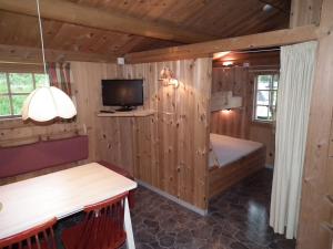 a room with wooden walls and a tv and a couch at Smegarden Camping in Oppdal +23 photos