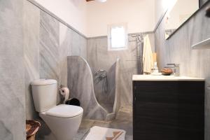a bathroom with a toilet and a shower and a sink at Tinos Sky View Villa in Arnados