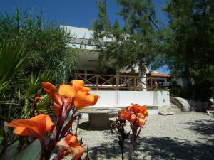 ławka w środku ogrodu z pomarańczowymi kwiatami w obiekcie Da Silva Surfcamp w mieście Areia Branca