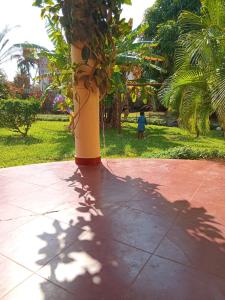 a pole with a plant in the middle of a park at Kasuku villa in Ukunda +3 photos