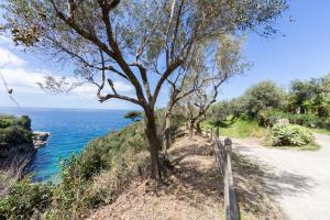 a tree on a hill next to the ocean at Relais Regina Giovanna in Sorrento