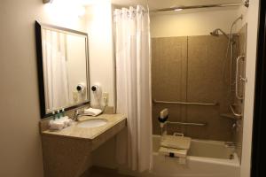 a bathroom with a sink and a shower with a shower curtain at Holiday Inn Express Pittsburgh - Munhall by IHG in Munhall +20 photos