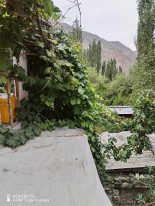 a building with plants growing on the side of it at Apricot Cafe and Restaurant Shapa in Turtuk