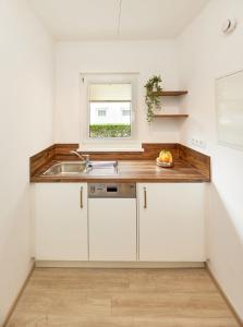 Kuchyň nebo kuchyňský kout v ubytování Pamir - 22 + 9 fotografií