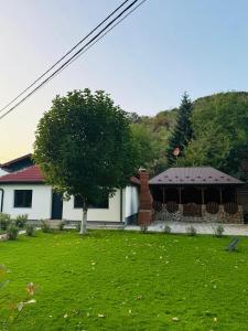 Φυσικό τοπίο κοντά σε αυτό το διαμέρισμα