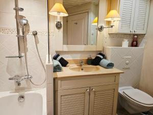 Bilik mandi di Studio Cosy avec Plage et Parking Privé au bord du Lac D'Annecy +35 gambar