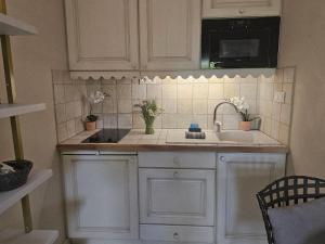Dapur atau dapur kecil di Studio Cosy avec Plage et Parking Privé au bord du Lac D'Annecy