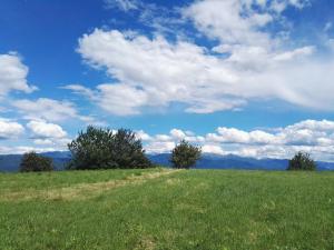 Kép Agriturismo Girasole szállásáról Fai della Paganellában a galériában