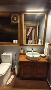 a bathroom with a sink and a toilet and a mirror at The Attic By Snovika The Organic Farm in Bhīm Tāl