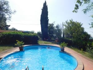 a swimming pool in a yard with two potted plants at CasaVacanza Borgo Cenaioli tra Toscana e Umbria Lago Trasimeno in Sant Arcangelo