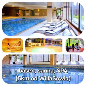 a collage of three pictures of a swimming pool at Willa Sowia nowe apartamenty nad górskim potokiem zachwycający widok na góry in Stronie Śląskie