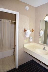 ein Badezimmer mit einem Waschbecken, einem WC und einem Spiegel in der Unterkunft Bonifay Inn in Bonifay