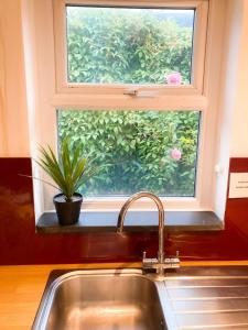 eine Küchenspüle mit Fenster und Topfpflanze in der Unterkunft Dolbach Cottage Snowdonia in Blaenau-Ffestiniog