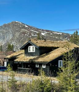 a house with a grass roof with a mountain in the background at Family-Friendly Mountain Cabin At Haglebu in Eggedal