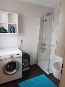 a bathroom with a washing machine and a shower at BB Crew House in Stipshausen