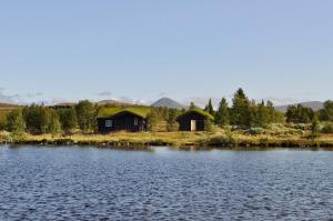 Naturlandskabet i nærheden af feriehuset