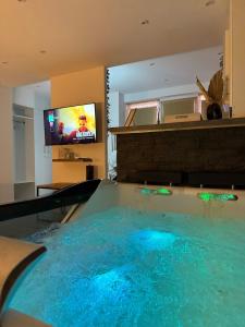 una gran piscina en una sala de estar con TV en Spa et sauna - Loft Cataleya, en Belfort 6 fotos más
