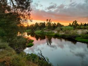 Příroda nedaleko kempu