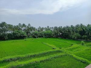 KashidにあるLeela beachside stayのギャラリーの写真