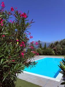 Gallery image of Bluelow Lakeview house in Dervio +22 photos