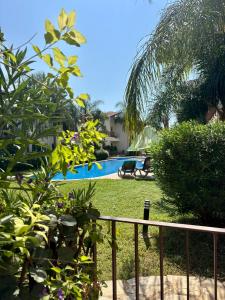 a view of a yard with a swimming pool at Amphithea Luxury Apartment in Voroklini