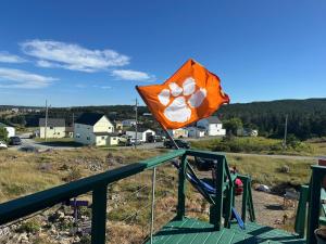 Φωτογραφία από το άλμπουμ του 1br Bird Island Overlook Near Trail In Elliston σε Elliston +10 φωτογραφίες