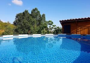 a large blue swimming pool in front of a house at B & B Villa Matisse in Laureana Cilento