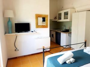 a room with a bed and a tv and a kitchen at B & B Villa Matisse in Laureana Cilento