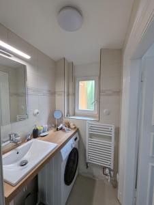 a bathroom with a sink and a washing machine at U Bílého Beránka in Děčín