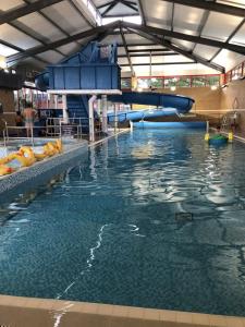 a large swimming pool with a water slide at Orchid by Davies Caravans on Oakdene Forest Park in Saint Leonards