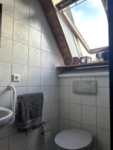 a bathroom with a toilet and a sink and a window at Ferienwohnung am Brombachsee FeWo Horlacher in Pleinfeld