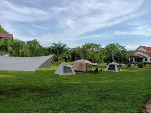 Κήπος έξω από το HomestayReurnthai BangPain  +30 φωτογραφίες