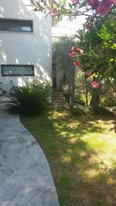 Fotografie z fotogalerie ubytování Apartman Buljarica v destinaci Petrovac na Moru + 32 fotografií