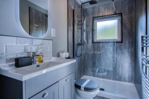 a bathroom with a sink and a toilet and a mirror at Glenvale - 2 Bedroom Apartment - Saundersfoot in Saundersfoot +37 photos
