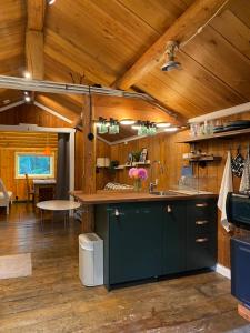 a kitchen with a sink and a counter in a cabin at Brobacka B&B in Alingsås