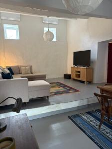 a living room with a couch and a television at Monte da Rocha-Mãe 