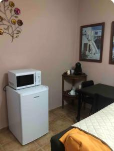 microondas en la parte superior de una nevera en una habitación en El Mirador de Carmina Habitaciones, en Frigiliana