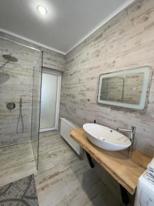 ヴィーンヌィツャにあるCenter apartmentの洗面台とガラスのシャワーを備えたバスルーム