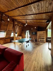 a ping pong table in the middle of a room at UMANI Retreat in Buşteni
